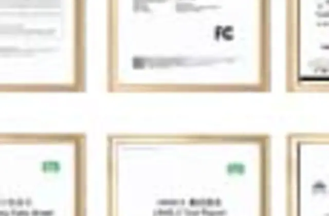 Royalsun certificate